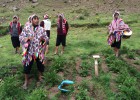 Uma batata para cultivar em Marte