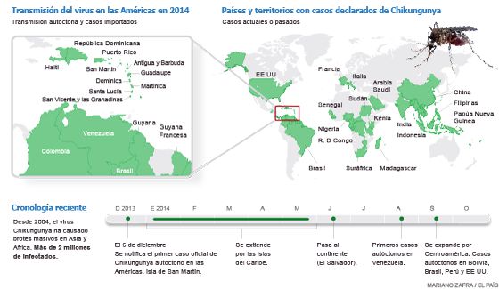 Antivacunas y las otras 19 historias más leídas de Planeta Futuro