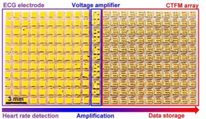 De izquierda a derecha: electrodos que recogen información, amplificadores y almacenamiento.