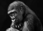 Fotogalería | El nuevo trabajo de Isabel Muñoz