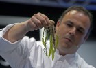 Vanguardia en escabeche