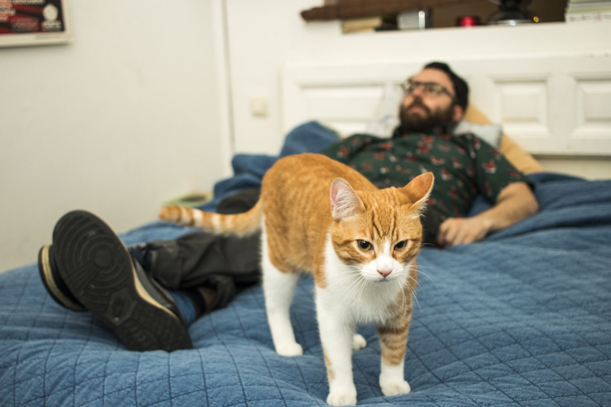 Otra vez solos, después del fracaso de la cita con Teresa. Otra vez solos, después del fracaso de la cita con Teresa.