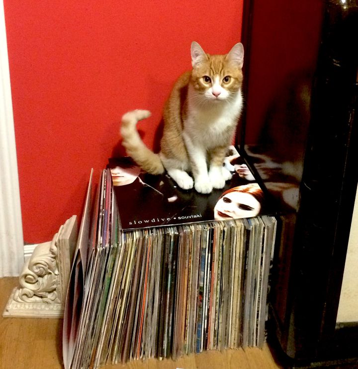 López es de la vieja escuela: prefiere vinilos a digital. López es de la vieja escuela: prefiere vinilos a digital.