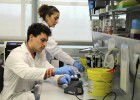 Uno de cada tres españoles tendrá cáncer a lo largo de su vida Uno de cada tres españoles tendrá cáncer a lo largo de su vida