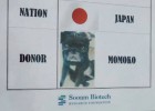 80.000 euros por clonar a su mascota