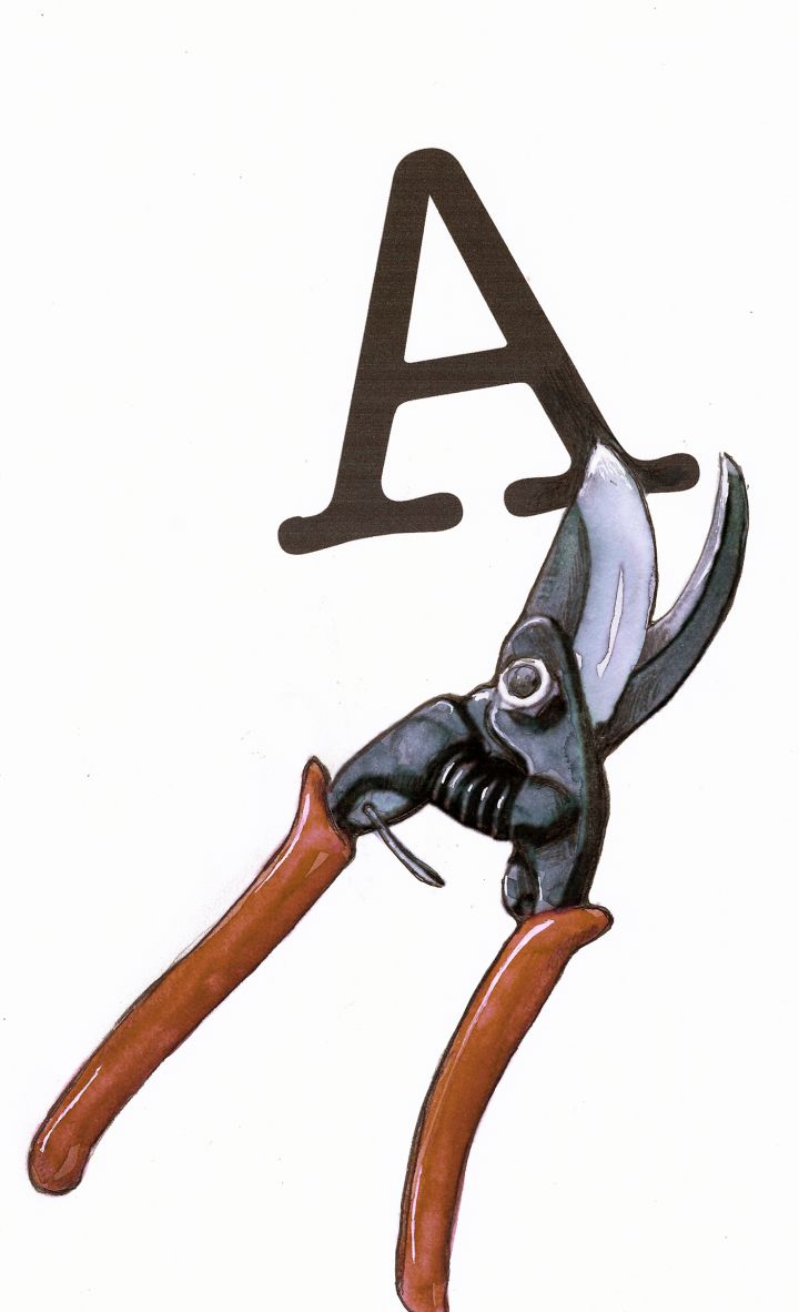 Penúltimos archisílabos Penúltimos archisílabos