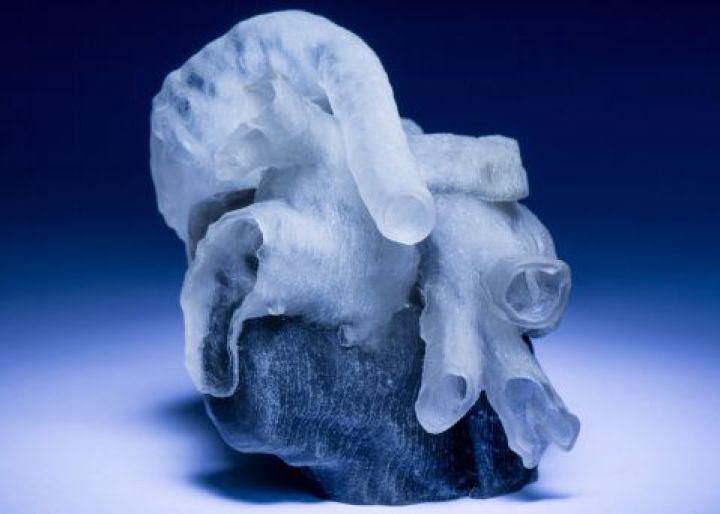 Una impresora 3D crea huesos, músculos y cartílagos Una impresora 3D crea huesos, músculos y cartílagos