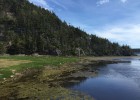 O nível do mar subiu mais rápido no século XX do que em 3000 anos