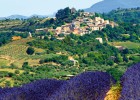 La Provenza en el tocador