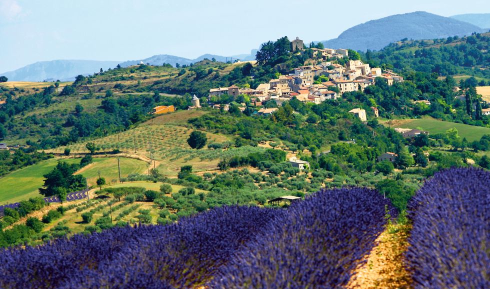 Reportaje: L'Occitane: La Provenza en el tocador | EL PAÍS Semanal