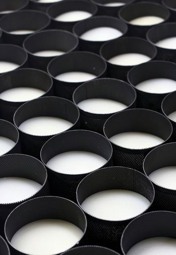 La patria del ‘Gruyère’