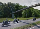 El costoso puente para ardillas que ellas desdeñan