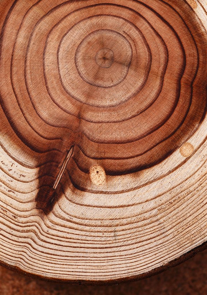 La naturaleza lleva una contabilidad exacta del tiempo. La naturaleza lleva una contabilidad exacta del tiempo.