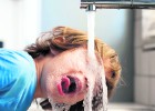 ¿A qué sabe el agua del grifo? ¿A qué sabe el agua del grifo?
