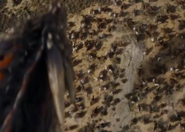 Segon tràiler de la nova temporada de ‘Joc de trons’
