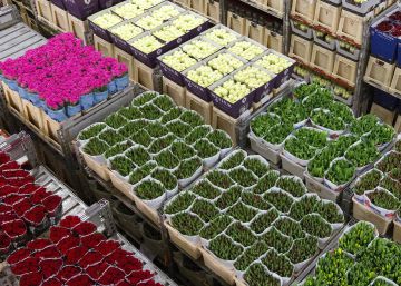 El gran negocio de las flores