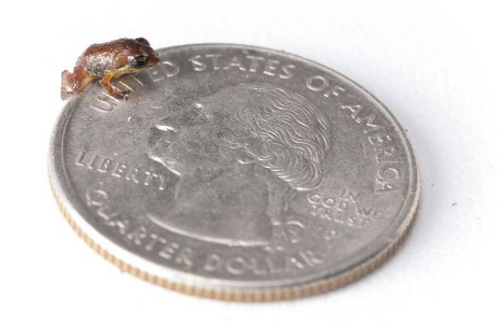 Día de la Tierra 2016 Día de la Tierra 2016