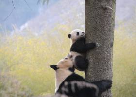 Día de la Tierra 2016