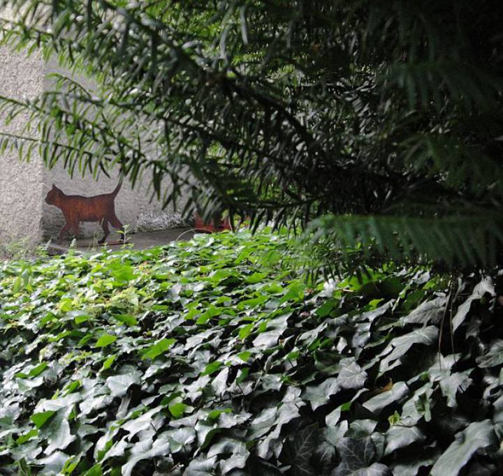 Una figura de un gato en el jardín de la casa en la que vivió Erwin Schrödinger en Zurich, entre 1921 y 1926. Una figura de un gato en el jardín de la casa en la que vivió Erwin Schrödinger en Zurich, entre 1921 y 1926.