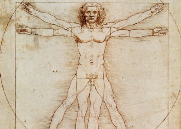 ¿Cuántos conejos hacen falta para llenar el universo?