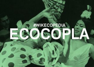 ¿A quién le cantarías una 'Ecocopla'?