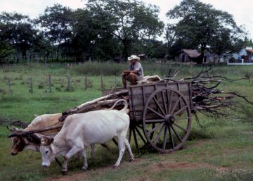 La pobreza más allá de los números La pobreza más allá de los números
