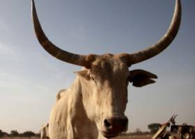 A un lado el desierto, al otro verde