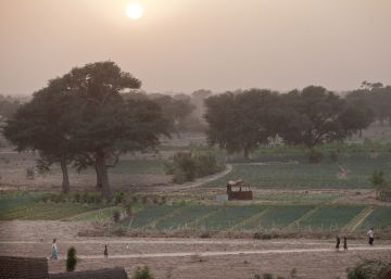 A un lado el desierto, al otro verde A un lado el desierto, al otro verde