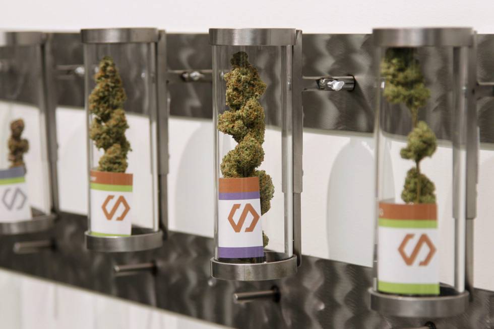 Cannabis a la venta en Estados Unidos. Cannabis a la venta en Estados Unidos.