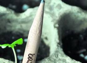 Hay motivos para celebrar