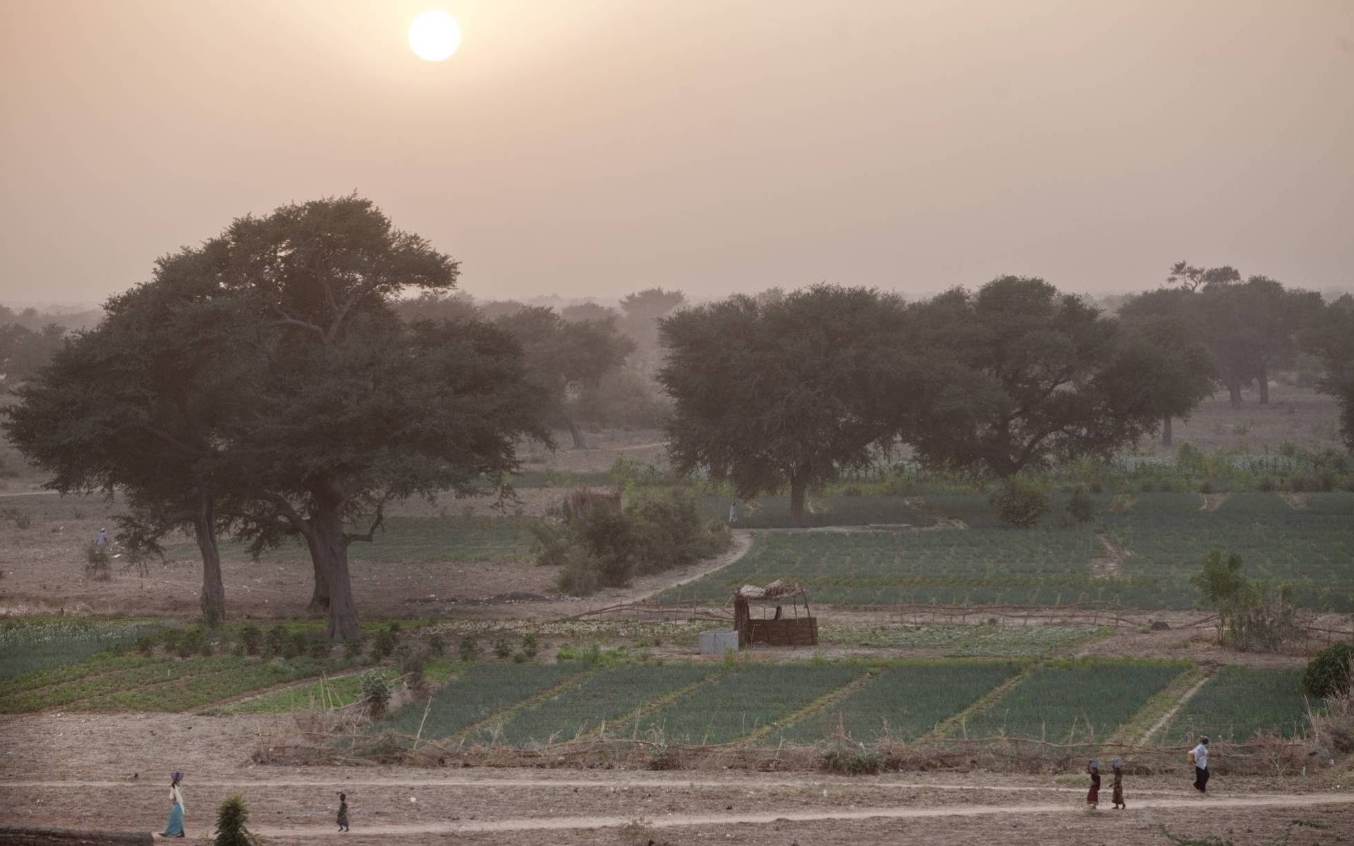 Día de África: ocho historias que no son ‘las de siempre’ Día de África: ocho historias que no son ‘las de siempre’