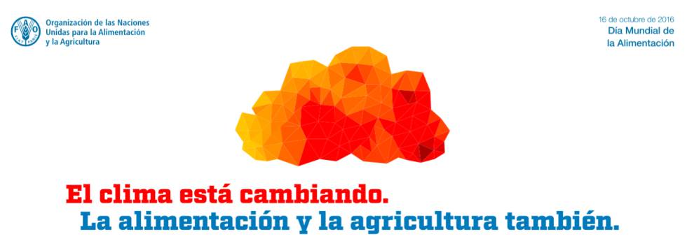 El clima cambia, ¿cómo cambiamos la agricultura?