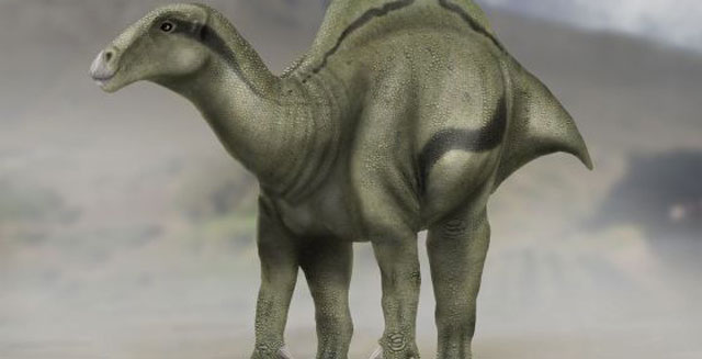 Reconstrucción del dinosaurio `Morelladon beltrani´.
