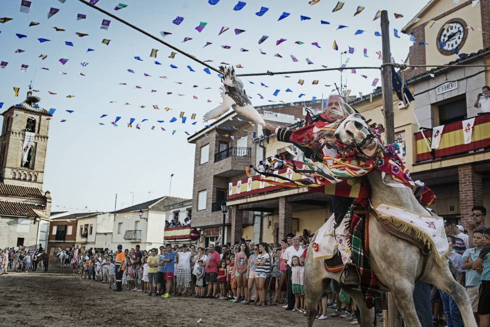 Fiesta de Los Gansos en Carpio de Tajo. Fiesta de Los Gansos en Carpio de Tajo.