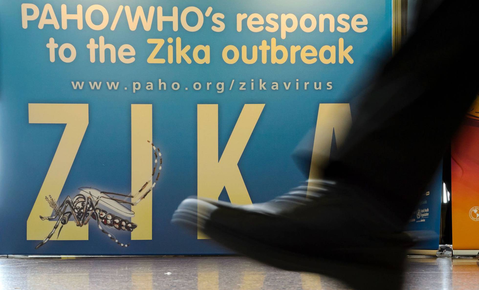 Brasil ha registrado 90.000 casos probables de zika en los últimos meses. Brasil ha registrado 90.000 casos probables de zika en los últimos meses.