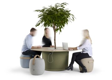Las plantas van a la oficina