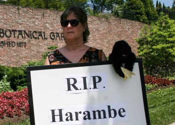 ¿Por qué culpamos a la madre por la muerte de Harambe? ¿Por qué culpamos a la madre por la muerte de Harambe?