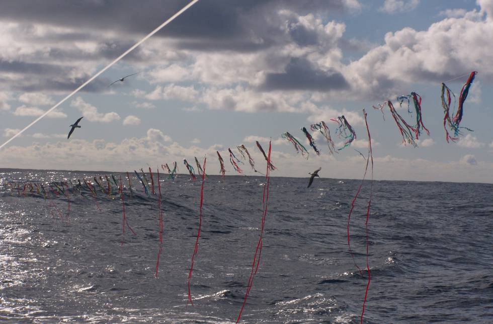Dia Mundial de los Oceanos