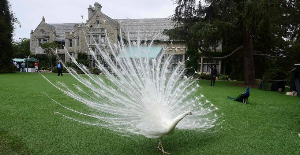 Jardines de la mansión Playboy.