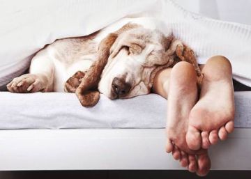 The Spanish siesta: myth or reality? The Spanish siesta: myth or reality?