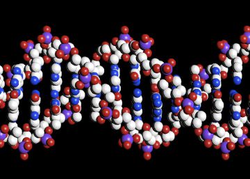La oncología pasa de estudiar la célula a concentrarse en los genes