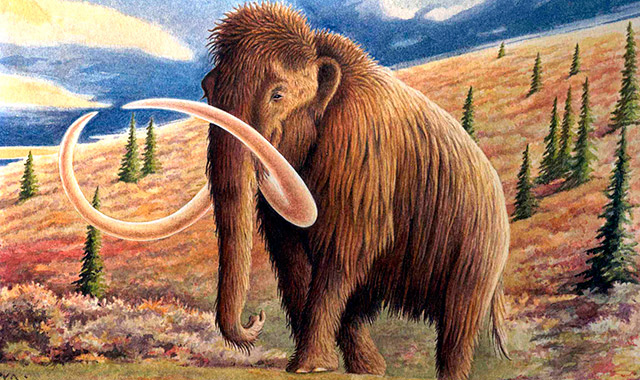 Ilustración del mamut lanudo.