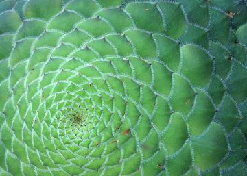 La magia de los números