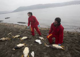 Los olvidados hijos del mar