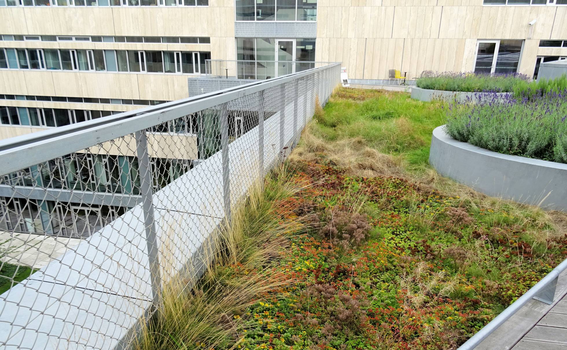 Copenhague: La sostenibilidad empieza por el tejado | Planeta Futuro