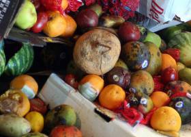 Erradicar el hambre es posible