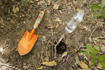 Las trampas, consistentes en una tabla de madera rugosa introducida en un cubo de plástico, necesitan agua y están enterradas en puntos clave de Madrid.