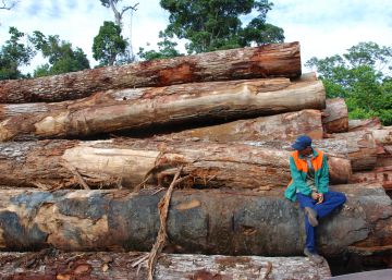 Congresso abre portas para ampliar desmatamento na Amazônia Congresso abre portas para ampliar desmatamento na Amazônia