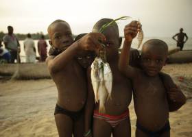 La Unión Europea, cómplice del saqueo de los mares africanos