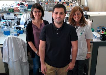 Cómo ‘resetear’ el sistema inmune para curar una enfermedad